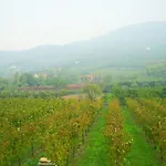 Alloggio Franciscus 4* Arquà Petrarca