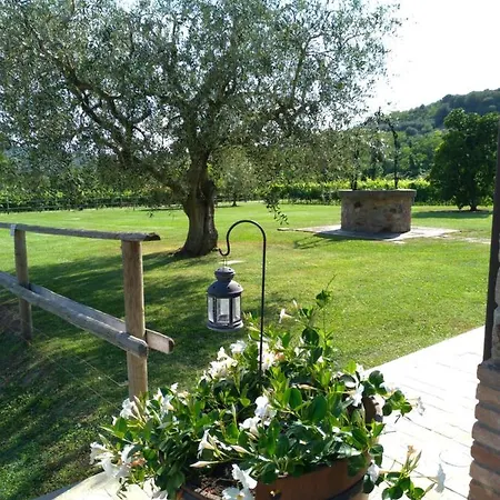 Franciscus Bed & Breakfast 4*