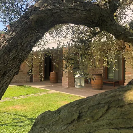 Franciscus 3* أركوا بتراركا