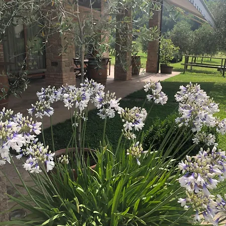 Alloggio Franciscus Bed & Breakfast