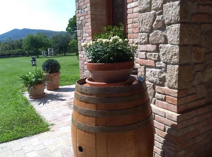 Franciscus أركوا بتراركا