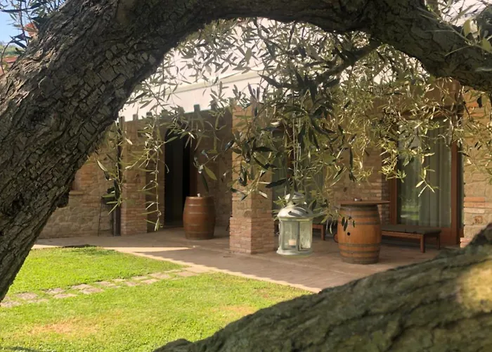 Franciscus 3* أركوا بتراركا