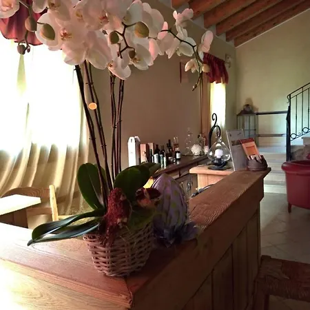 Franciscus 3* Arqua Petrarca