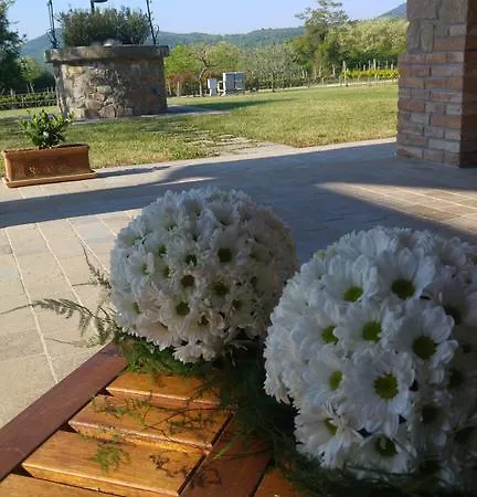 Franciscus Panzió 3*