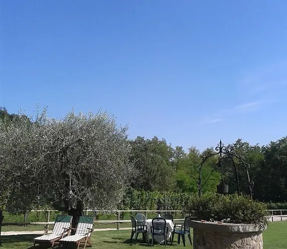 Franciscus Bed & Breakfast