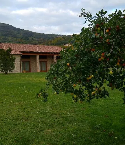 Bed & Breakfast Franciscus